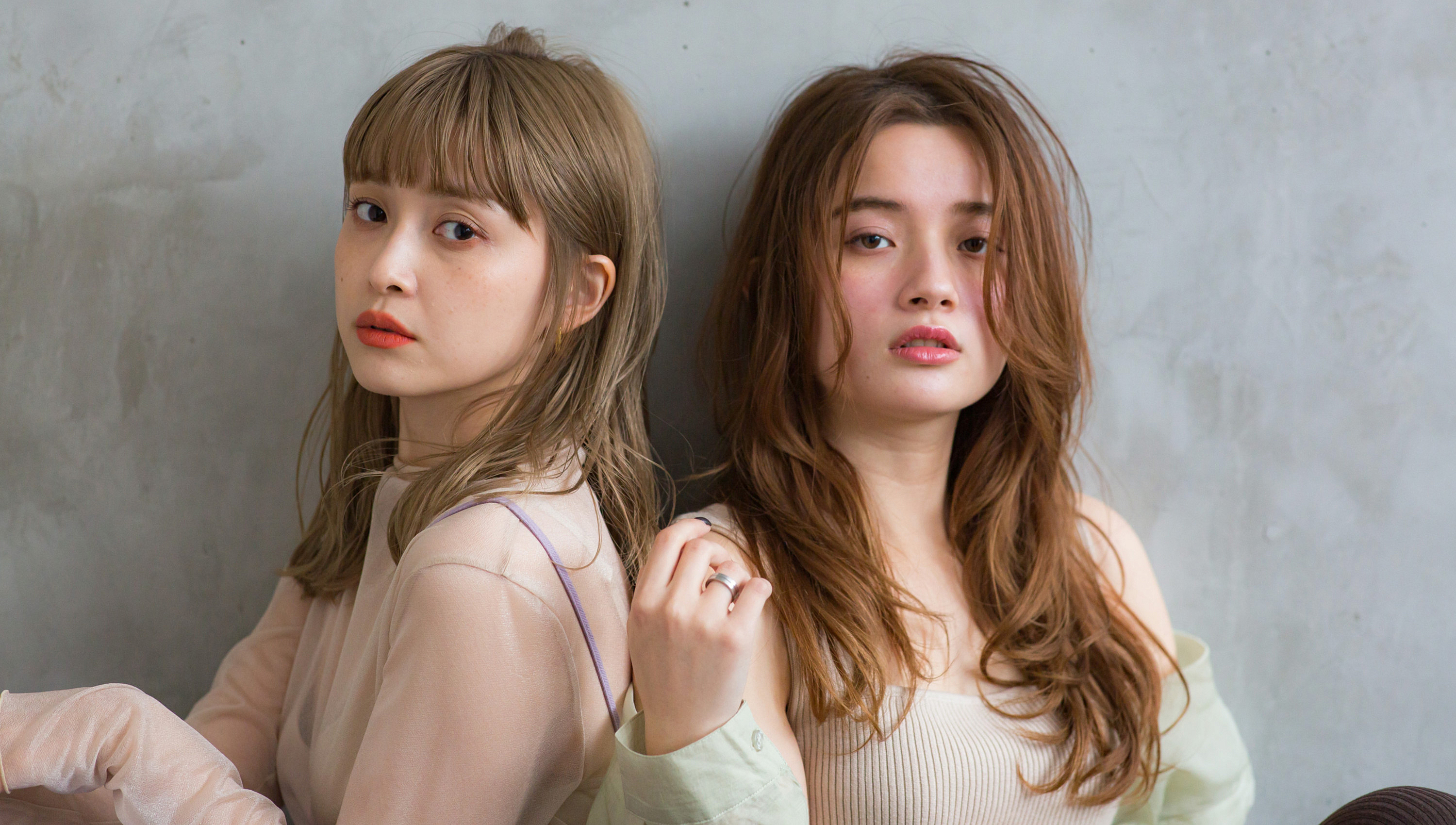 Official Website Renewal Open